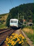Die Schwarzwaldbahn im FrÃ¼hling