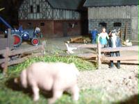  Modell Bauernhof mit 
Schweinezucht
