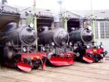 6Die Dampflokomotiven BJ130, 976 und F1200 in Paradeposition