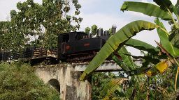 Waldbahn von Cepu im Osten Javas